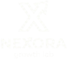 nexoragrowthlab.com